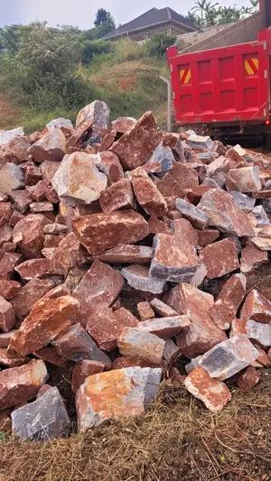 Hardcore for Sinotruck