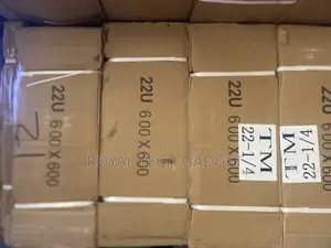 22u Rack Network Cabinet 600x600