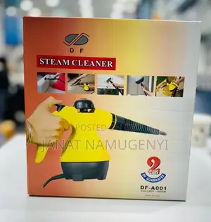 Steam Cleaner