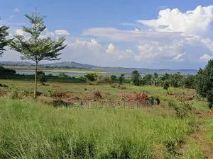 5acres Of Prime Land For Sale At Bwerenga~Kawuku Lake Touch.