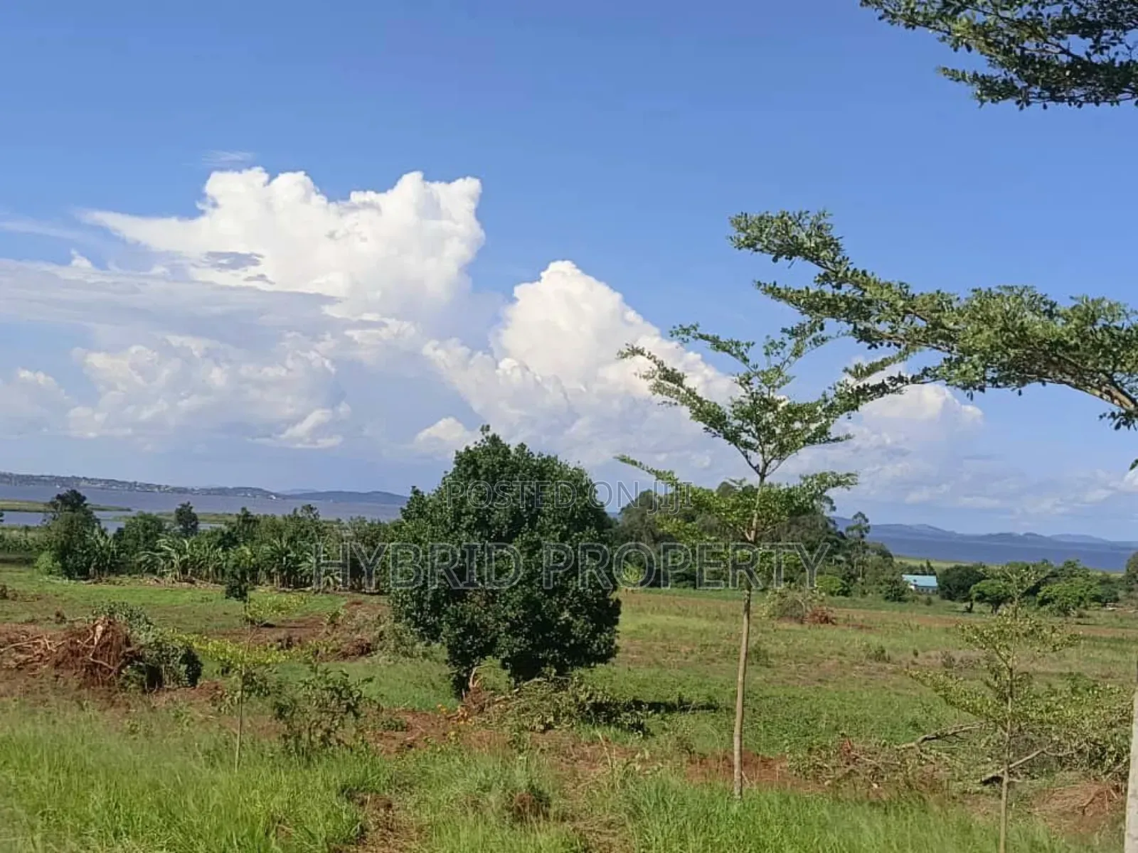 5acres Of Prime Land For Sale At Bwerenga~Kawuku Lake Touch.