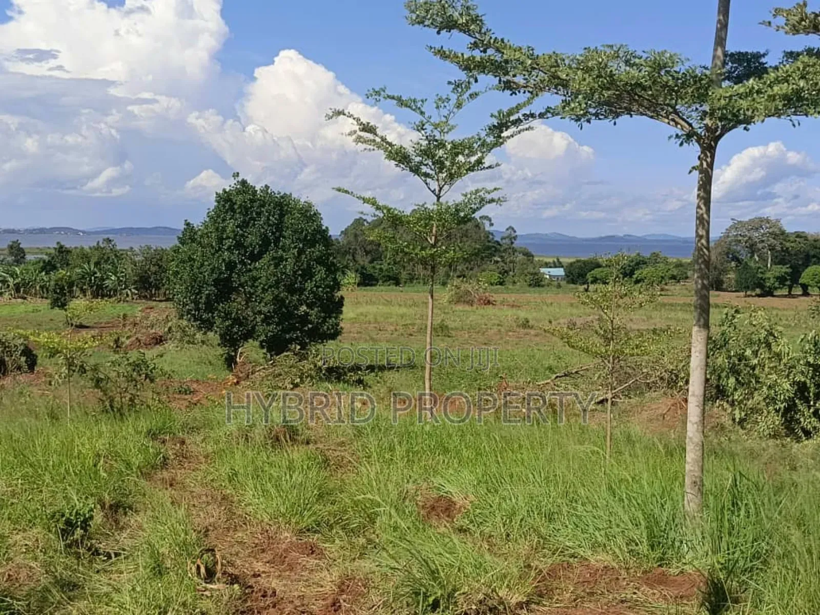 5acres Of Prime Land For Sale At Bwerenga~Kawuku Lake Touch.