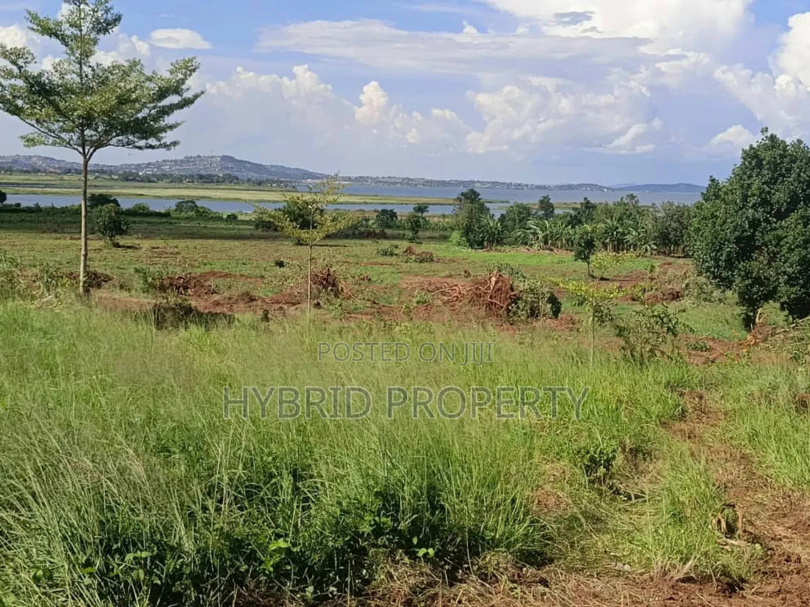 5acres Of Prime Land For Sale At Bwerenga~Kawuku Lake Touch.