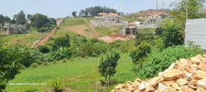 Prime Plots for Sale at Bwebajja Diplomatic Lakeview Estate.