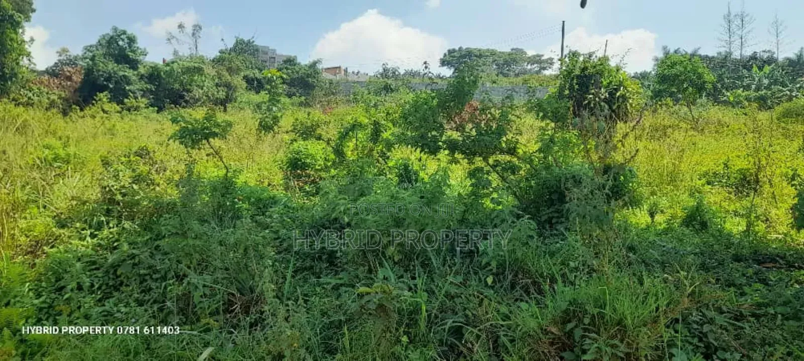 Prime Plots for Sale at Bwebajja Diplomatic Lakeview Estate.