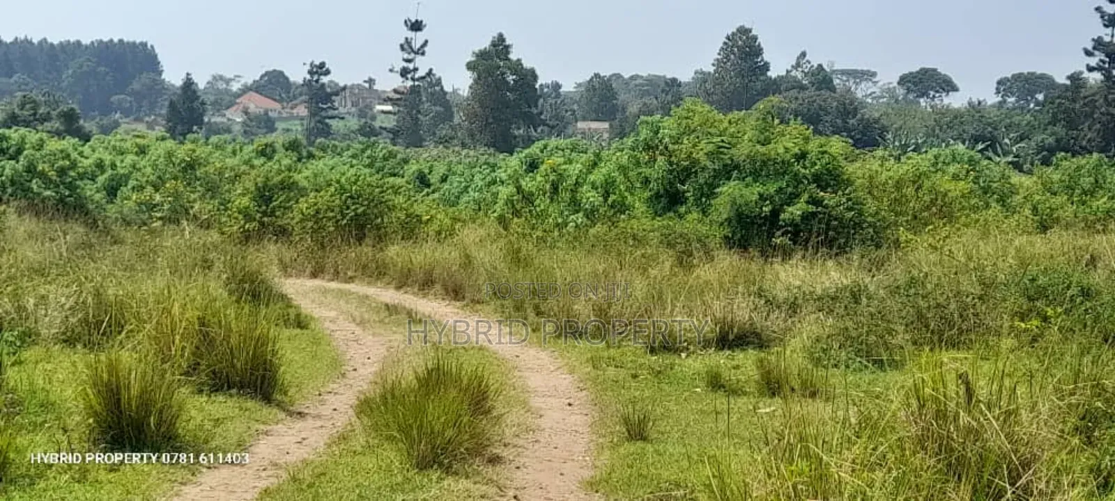 100acres of Prime Land for Sale at Bweya~Kajjansi Lakeview.