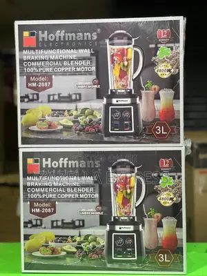 Hoffman Pure Copper Commercial Blender 3l