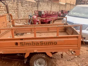 Tricycle Ihemas 2025 Orange