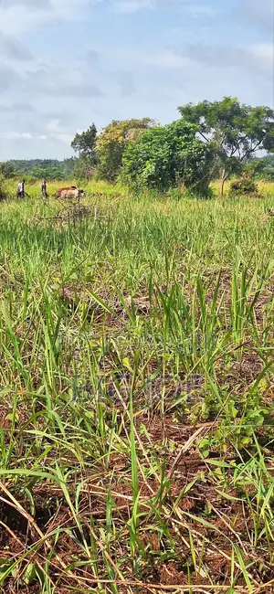 3 Acres of Land for Sale in Koro Lajwatek
