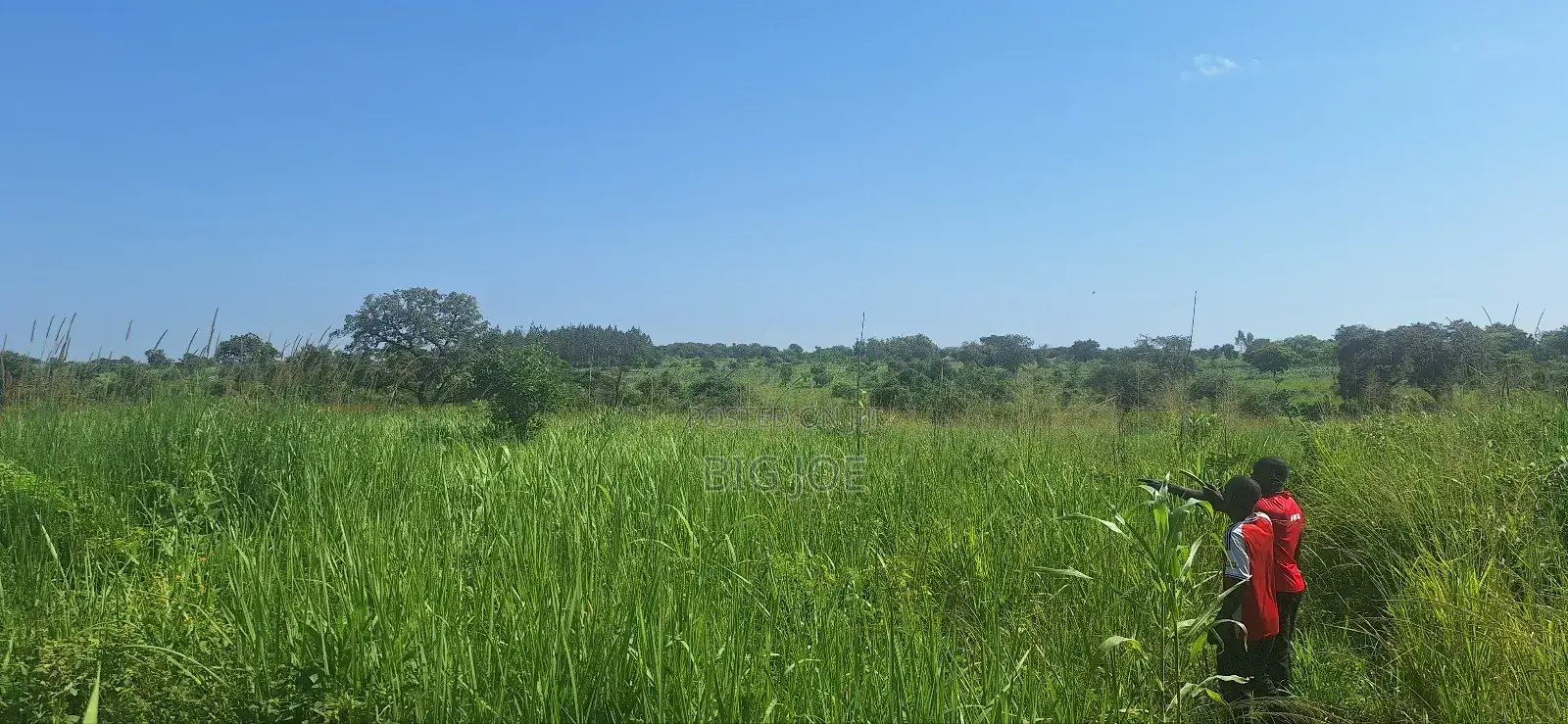 3 Acres of Land for Sale in Koro Lajwatek