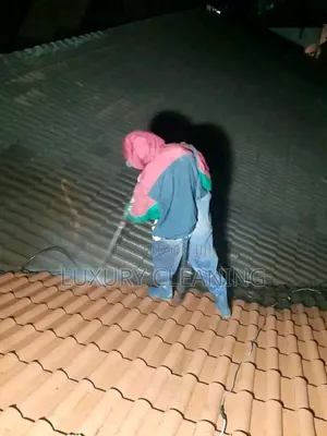 Roof Tile Cleaning