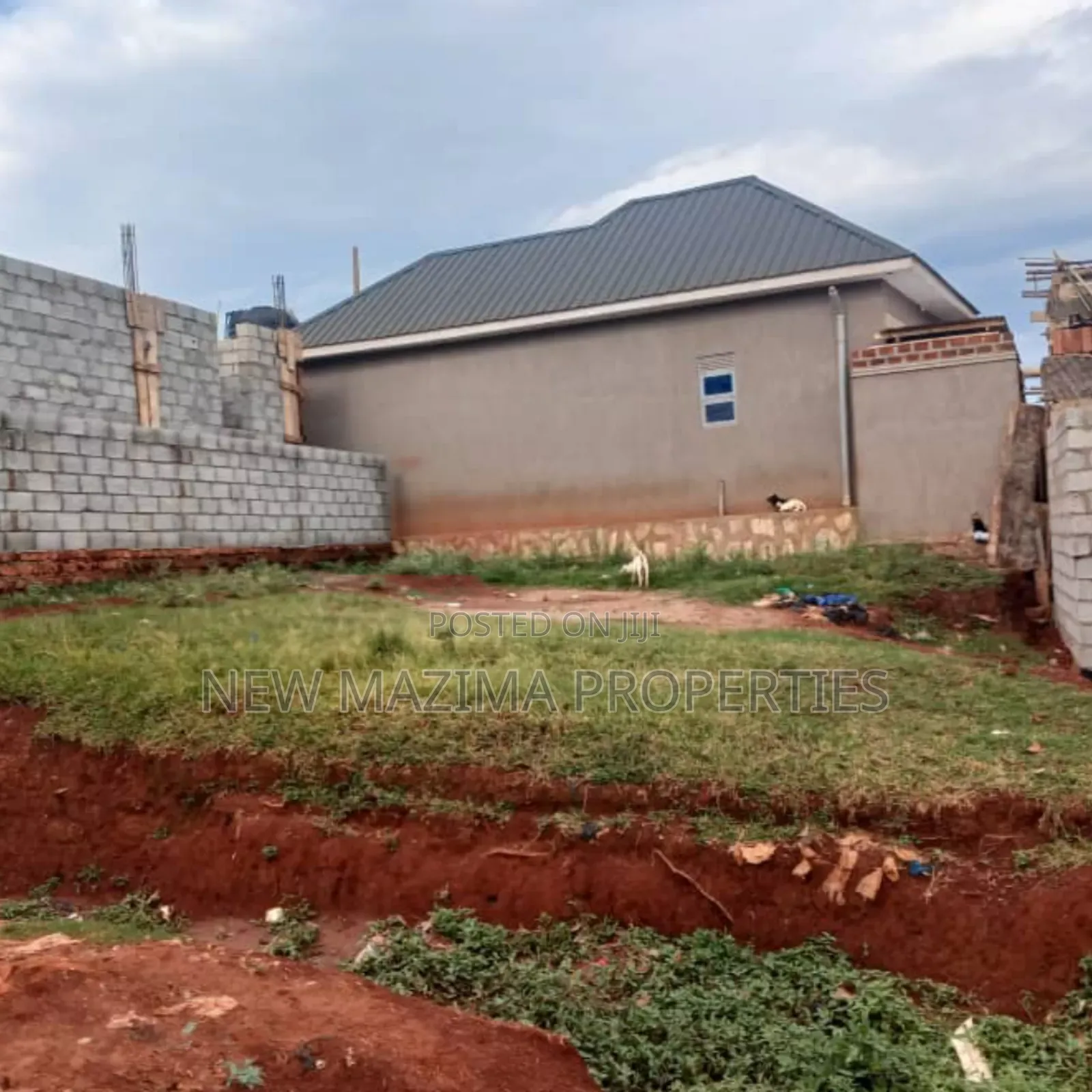 Arleady Fenced Beautiful Plot on Quicksale Salaama Munyonyo
