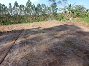 Beautiful Plots Gd Prices Quicksale Heart of Kyengera Nsangi