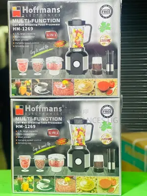 Hoffmans Hm-1269 Multi-Function Wall Breaking Food Processor