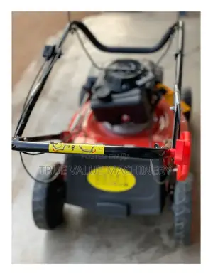 Gasoline Lawn Mower Japan