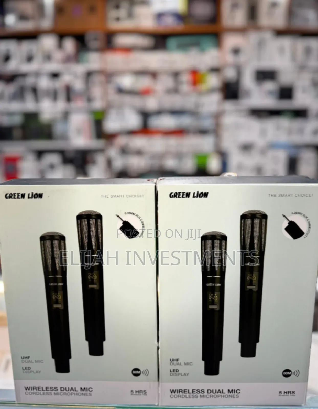 Dual Mic Cordless Microphone