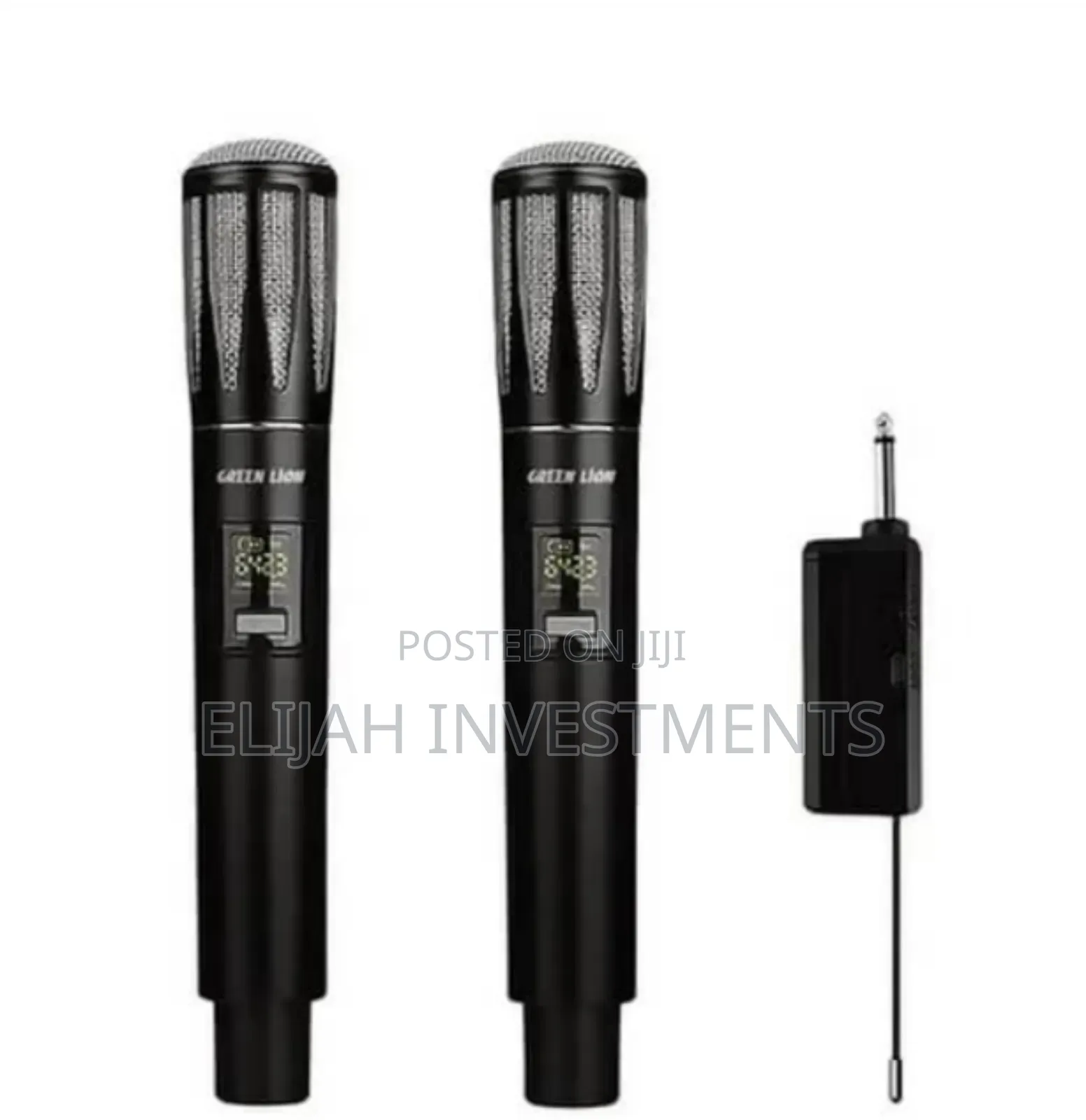 Dual Mic Cordless Microphone