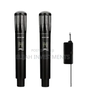 Dual Mic Cordless Microphone