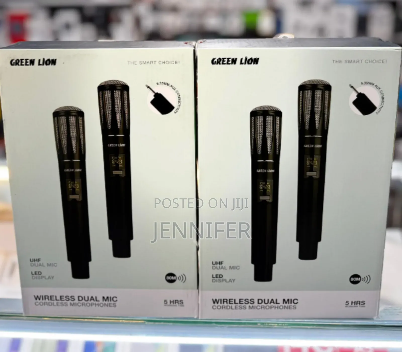 Dual Mic Cordless Microphone
