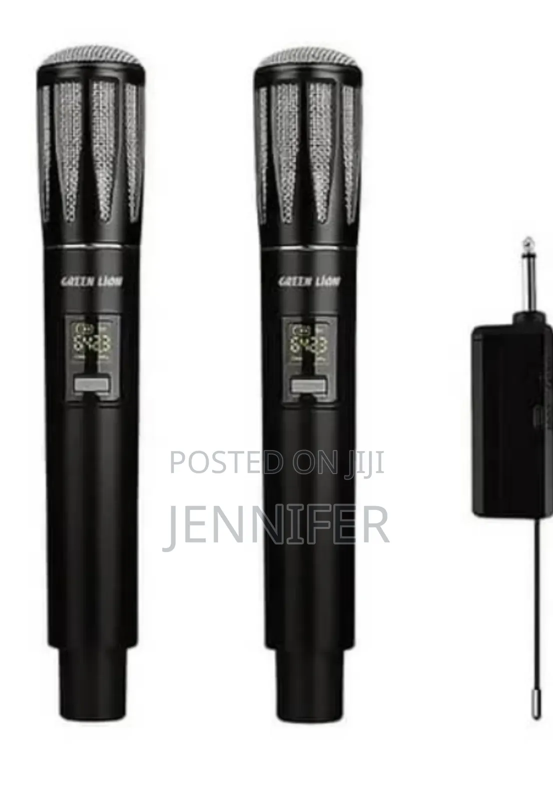 Dual Mic Cordless Microphone