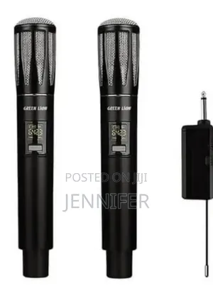 Dual Mic Cordless Microphone