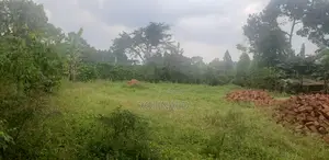 Photo - Land for Sale