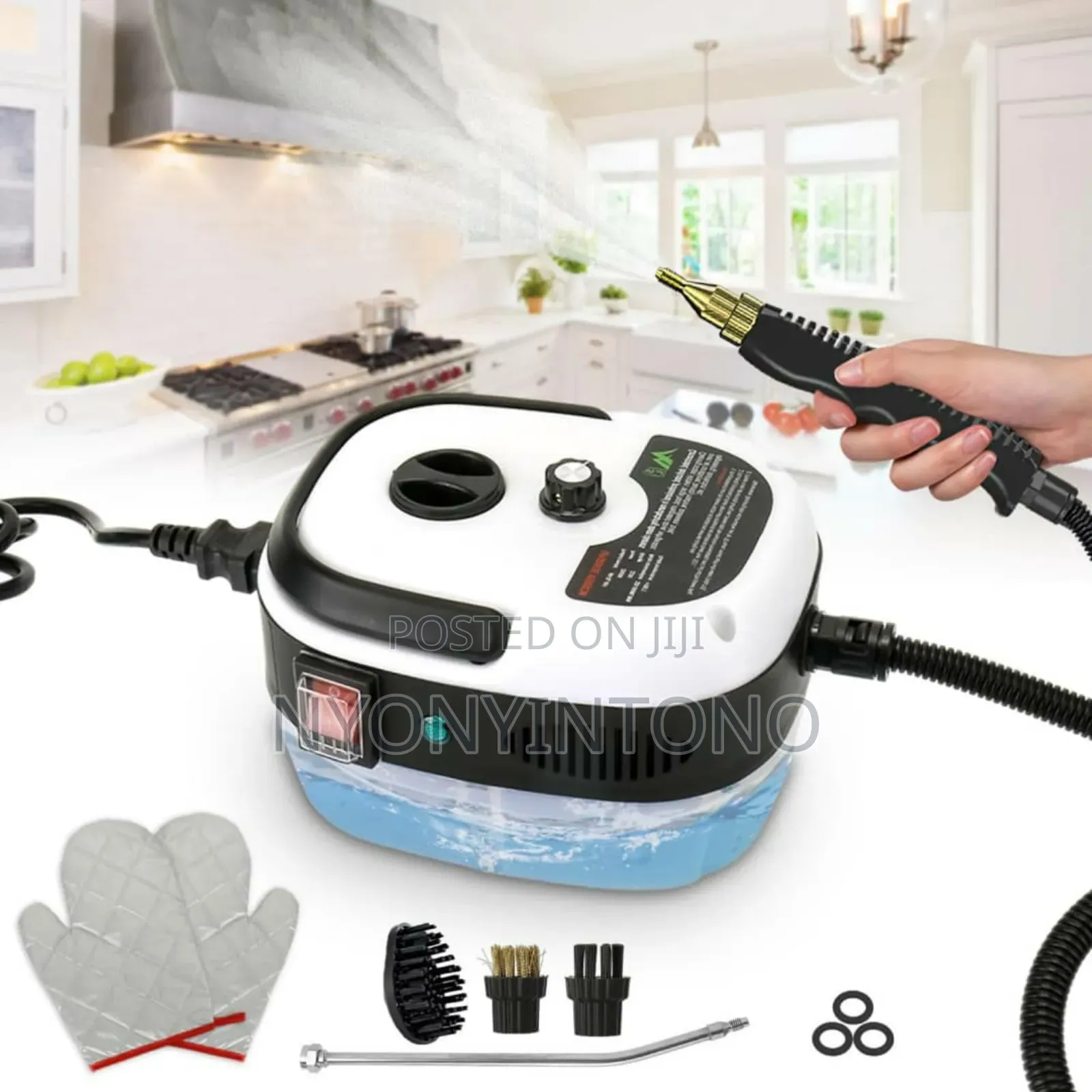 Portable High Power Steam Cleaner
