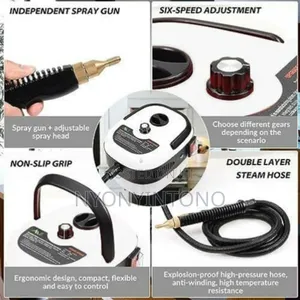Portable High Power Steam Cleaner