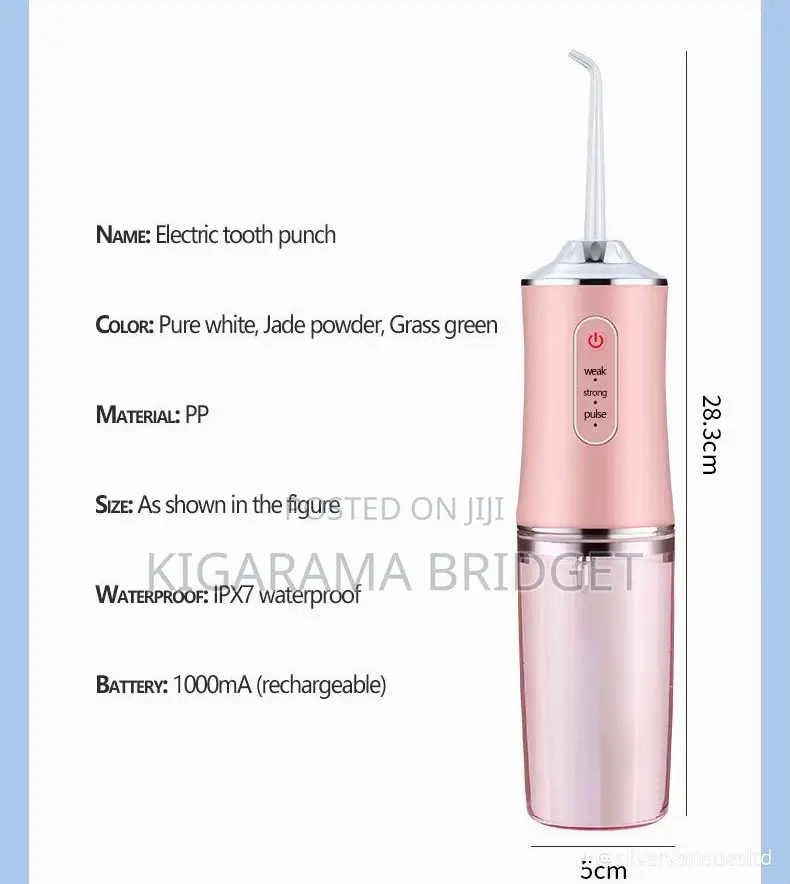 Dental Irrigator/Flosser