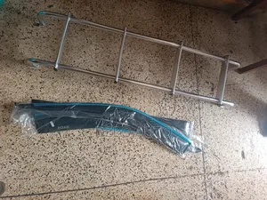 Noah Rain Guards and Rear Door Ladder 