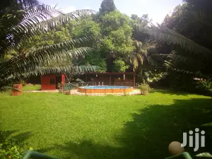 Five Bedroom House In Kololo For Rent