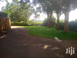 Five Bedroom House In Kololo For Rent