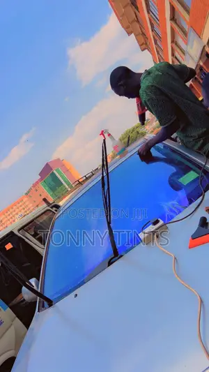 Chameleon Car Windshield Tint