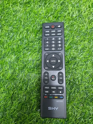 Sky Vyom Remote
