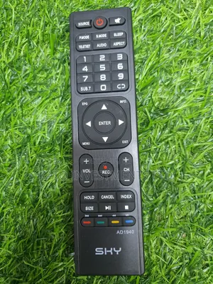 Sky Vyom Remote