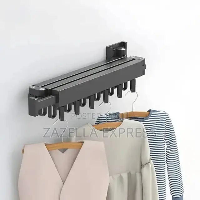 Wall Mounted Hanger