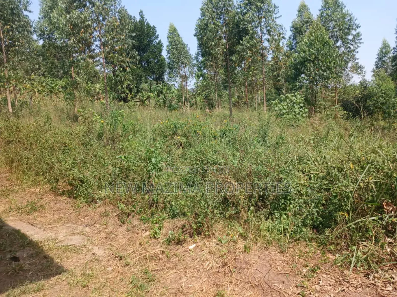 Two Acres With Private Mile Land Title on Quicksale Bujjuko