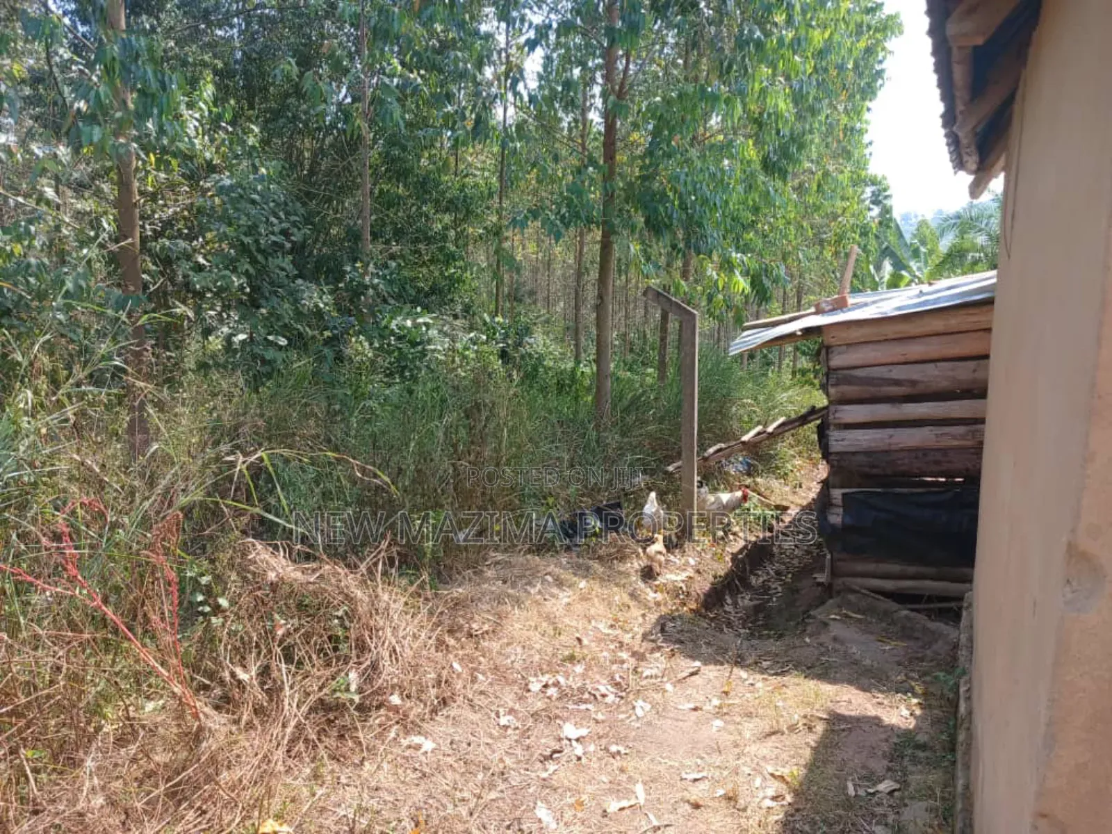 Two Acres With Private Mile Land Title on Quicksale Bujjuko