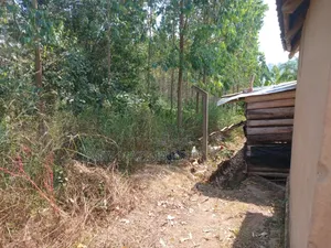 Two Acres With Private Mile Land Title on Quicksale Bujjuko