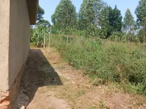 Two Acres With Private Mile Land Title on Quicksale Bujjuko