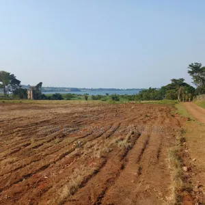 Plots With Million View of Lake Quicksale of Kawuku Ntebe Rd