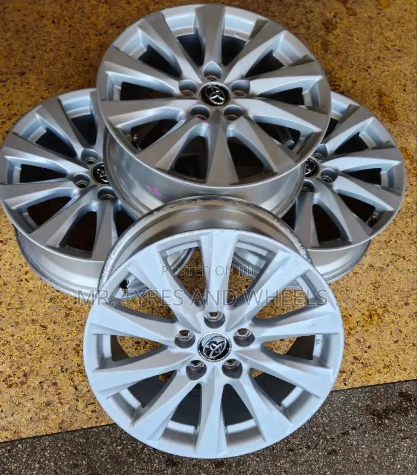 Size 17 for Van,R4,Harria,Alphad,Noah,Rumion U Can Win It .