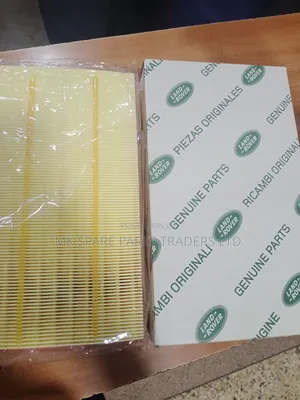 Range Rover Air Cleaners/ Air Filters