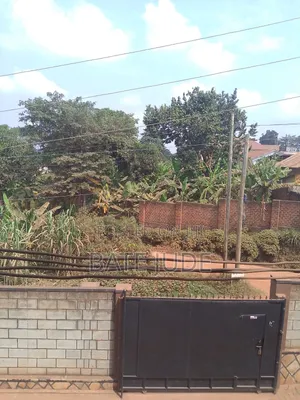 Photo - Land for Lease Is Needed Agently on Main Road