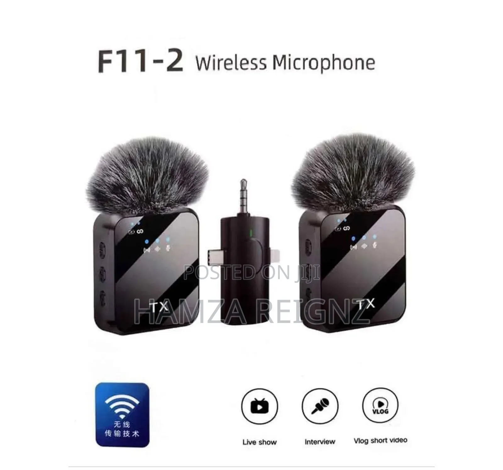 F11-2 Professional Wireless Dual Microphone