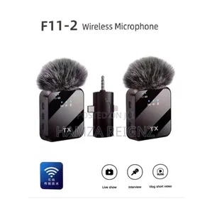 F11-2 Professional Wireless Dual Microphone