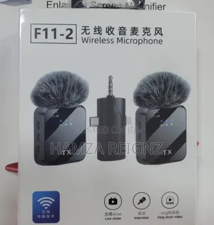 F11-2 Professional Wireless Dual Microphone