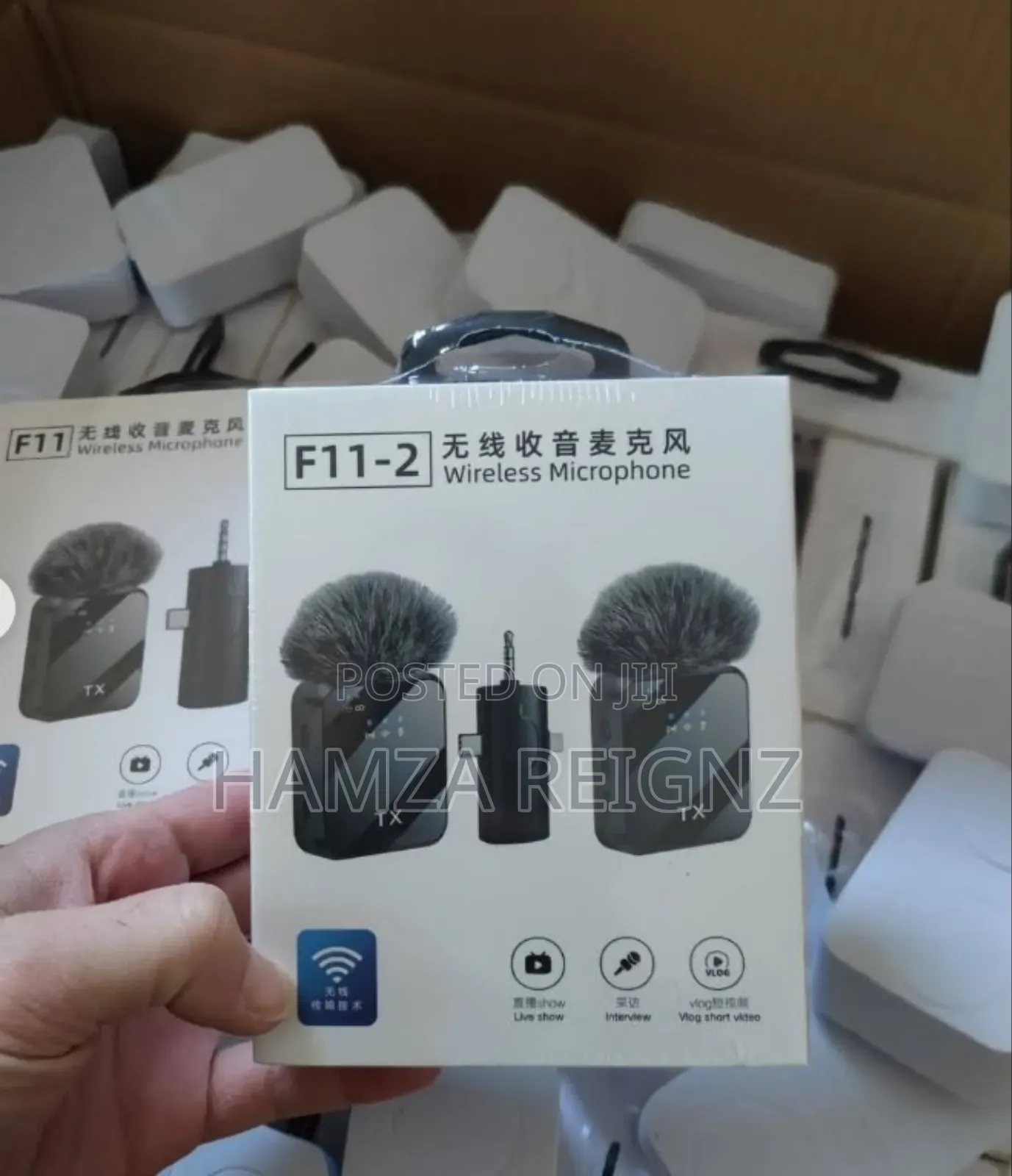 F11-2 Professional Wireless Dual Microphone