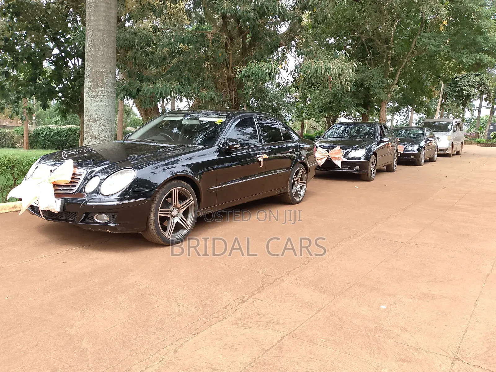 Benz for Hire. Executive Drives, Airport Pick Ups, Weddings