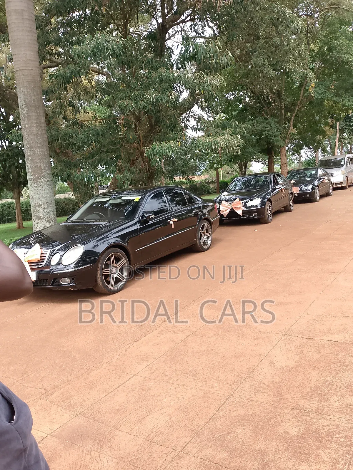 Benz for Hire. Executive Drives, Airport Pick Ups, Weddings